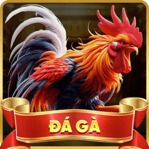 Người chơi hài lòng 1